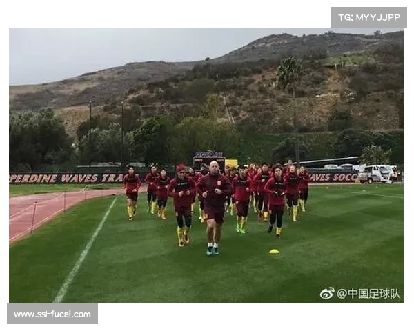 海外赛计划取消揭示足球商业拓展遇瓶颈与市场阻力