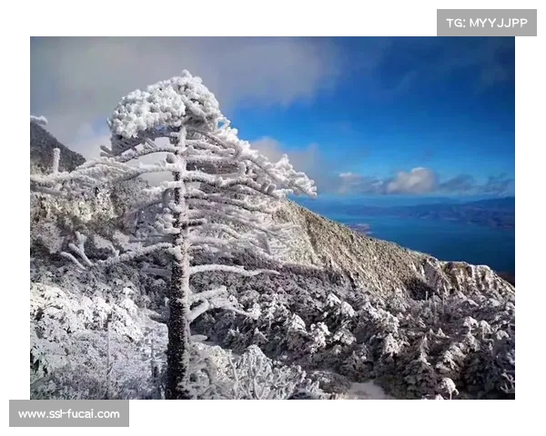 从江西赴大理参赛选手：被风景惊艳